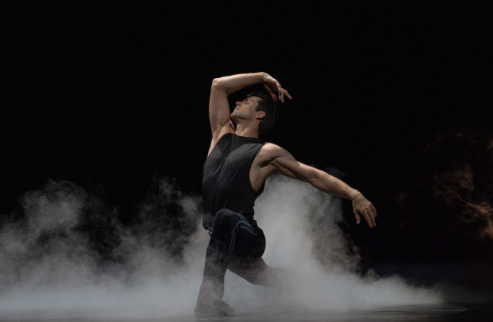 roberto bolle