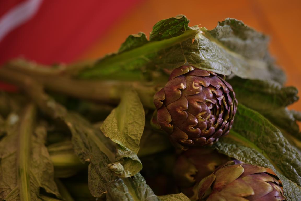 carciofo romanesco