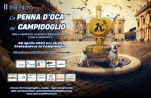 penna d'oca