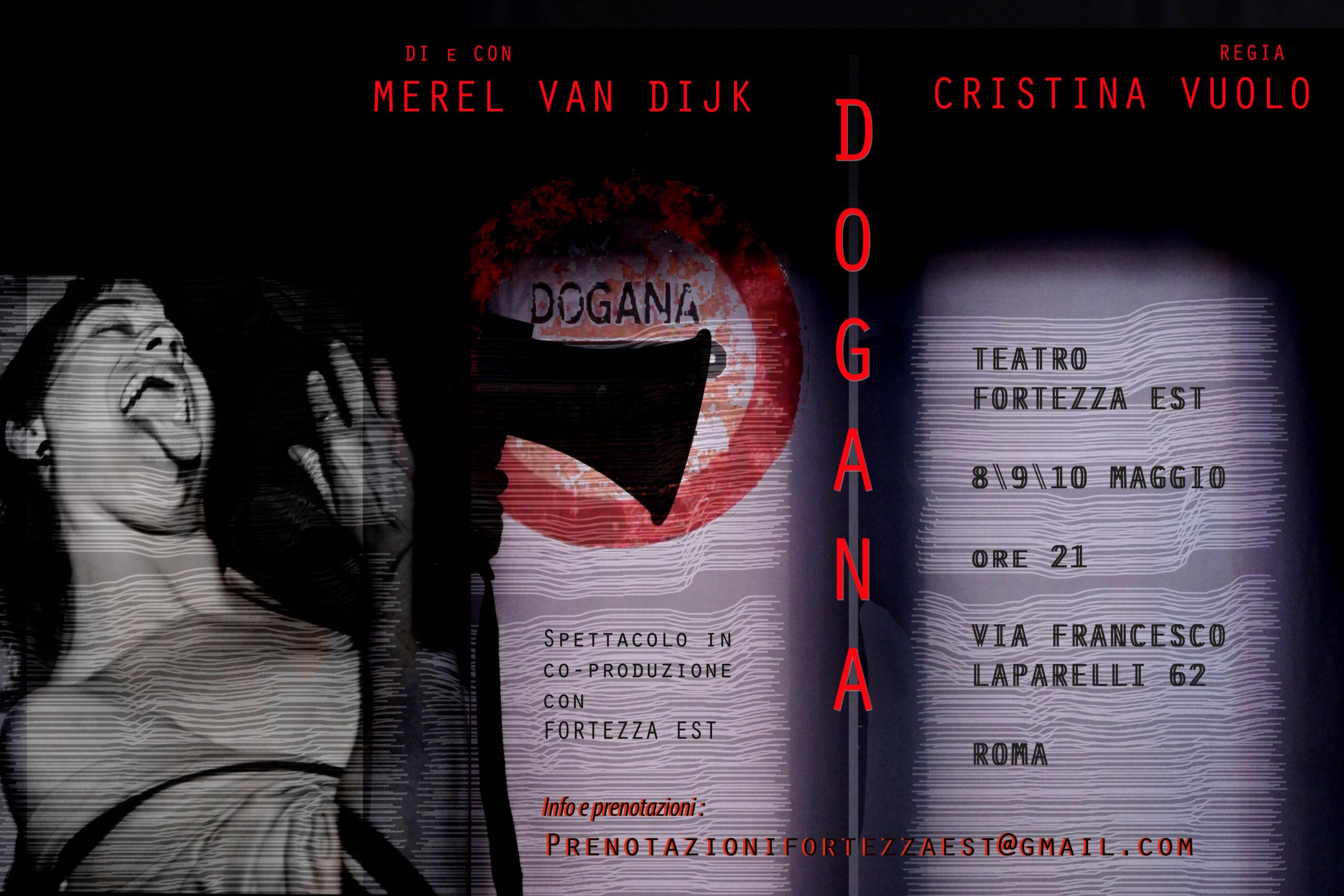 dogana