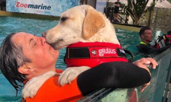 I cani eroi della Sics in acqua per la campagna sul soccorso “A Prova di Zampa” sics
