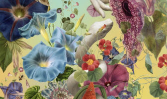 A solo exhibition by Austin Young Opening venerdì 26 settembre 2025 austin_young__the_garden__2025__digital_collage_on_watercolor_paper__70_x_100_cm