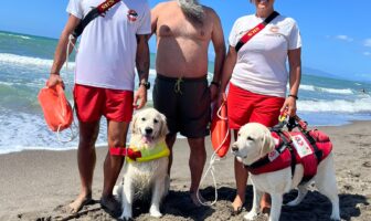 Cani bagnino Maia e Panna salvano un uomo trascinato dalla corrente a Pescia Romana pescia romana