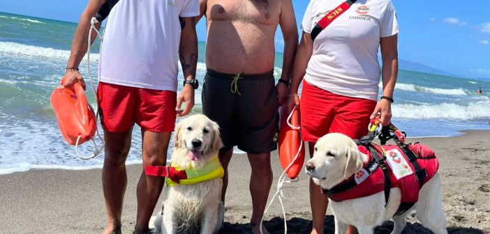 Cani bagnino Maia e Panna salvano un uomo trascinato dalla corrente a Pescia Romana