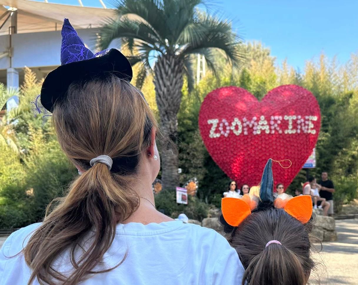 zoomarine