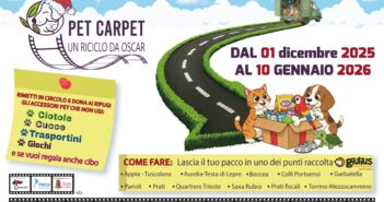 Un Natale che fa bene: doni inutilizzati? Con Pet Carpet diventano speranza per cani e gatti