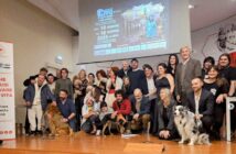 mi fa un baffo il gatto nero