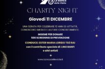 Charity-Gala-Banca-delle-Visite