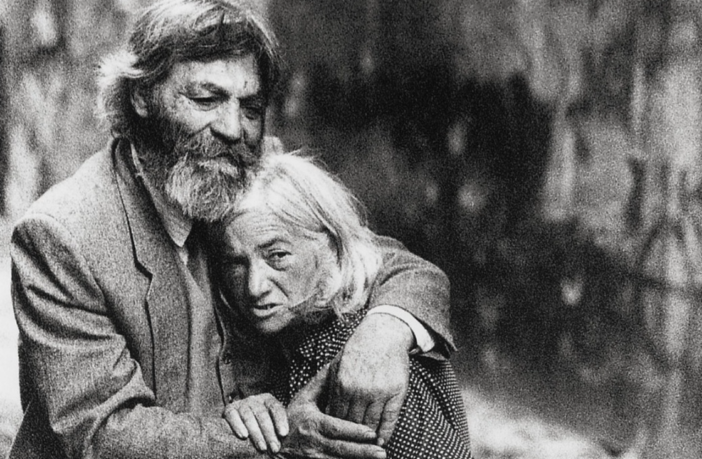 calendario codacons luxardo