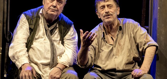 Rodolfo Laganà e Massimo Wertmuller conquistano il Teatro 7 con “Amici per la pelle” di Stefano Reali