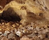 Museo delle Civiltà Pigorini Roma