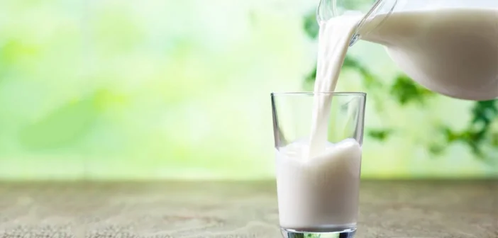 Centrale del Latte di Roma vince il bando “Latte nelle scuole” in Lazio e Abruzzo: al via l’educazione alimentare per migliaia di studenti