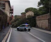 Maltempo a Roma, oltre 100 interventi della Polizia Locale: crolli e alberi caduti in diversi quartieri