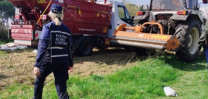 Roma, operazioni della Polizia Locale per decoro e legalità: rifiuti rimossi e aree bonificate tra Pineto, Balduina e Centocelle