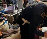 Roma, neonato in condizioni estreme salvato dalla Polizia Locale: arrestato un 49enne