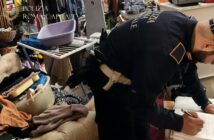 neonato polizia locale