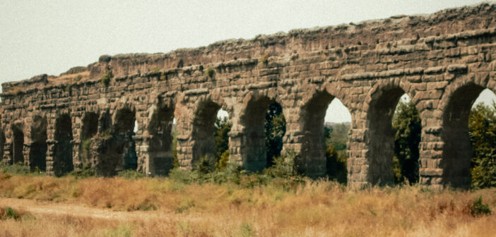 Festival Tulipani di Seta Nera 2026: il cinema sociale Under 30 racconta emozioni, identità e nuove visioni