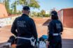 polizia locale