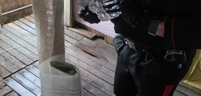 Roma, blitz dei Carabinieri a Tor Sapienza e San Basilio: scoperte 20 “crack house” in un immobile occupato
