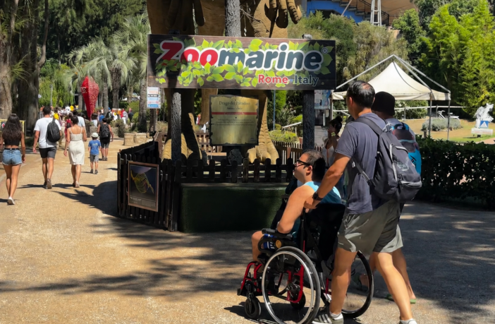 zoomarine