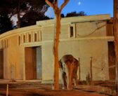 Il Bioparco si accende al tramonto: serate fino alle 21.30