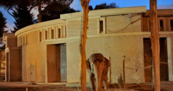 Il Bioparco si accende al tramonto: serate fino alle 21.30