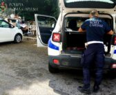 Roma, stretta contro degrado e abusivismo: controlli della Polizia Locale tra Primavalle, Ostia e centro storico