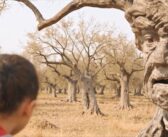 Alby l’ultimo ulivo debutta al Giffoni Film Festival