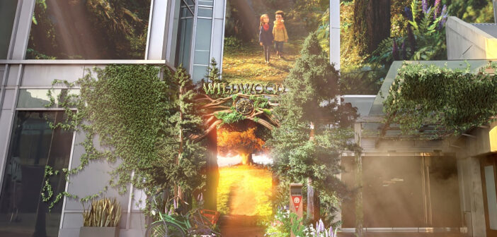 Wildwood – I segreti del bosco proibito