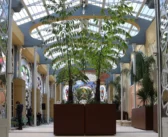 Sovrintendenza Capitolina ai Beni Culturali, appuntamenti fino al 10 settembre 2026