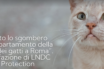 lndc