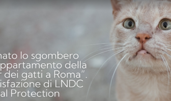 lndc