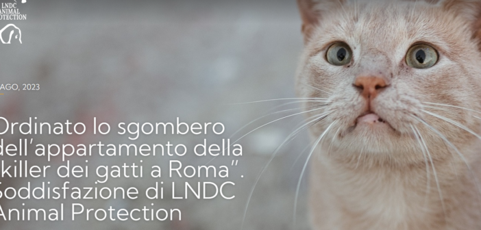 Roma, caso Norma Autiero: condannata a cinque mesi per il maltrattamento di tre gatti