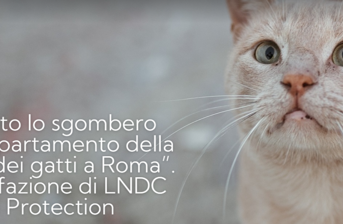 lndc