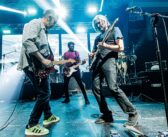 Dire Straits Legacy, tre concerti in Italia a novembre: Milano, Bergamo e Roma
